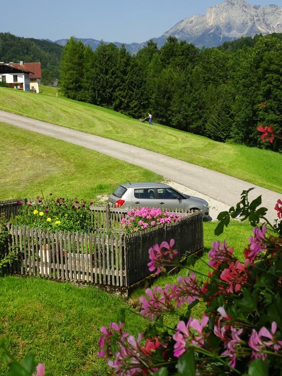 Ferienwohnung Löffelberger Hallein Exterior foto